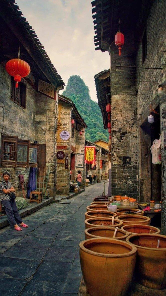 动物帮帮忙保卫家园